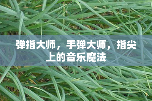 弹指大师，手弹大师，指尖上的音乐魔法