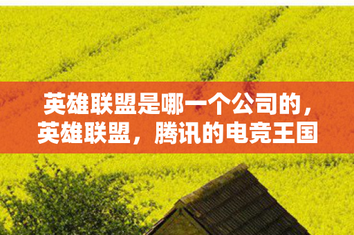 英雄联盟是哪一个公司的，英雄联盟，腾讯的电竞王国