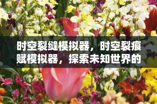 时空裂缝模拟器，时空裂痕赋模拟器，探索未知世界的奇妙之旅
