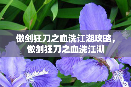 傲剑狂刀之血洗江湖攻略，傲剑狂刀之血洗江湖
