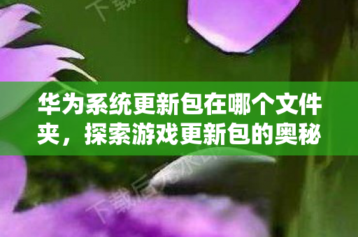华为系统更新包在哪个文件夹，探索游戏更新包的奥秘，从文件夹看版本迭代