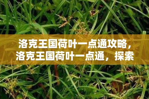 洛克王国荷叶一点通攻略，洛克王国荷叶一点通，探索王国中的神秘荷叶与奇妙冒险