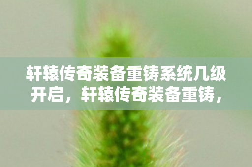 轩辕传奇装备重铸系统几级开启，轩辕传奇装备重铸，解锁全新战力，重塑传奇之路