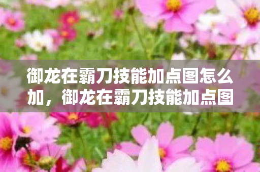 御龙在霸刀技能加点图怎么加，御龙在霸刀技能加点图