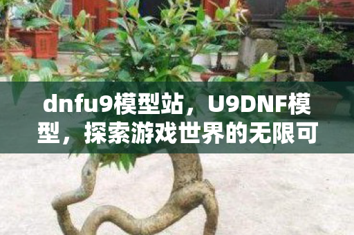 dnfu9模型站，U9DNF模型，探索游戏世界的无限可能