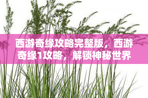 西游奇缘攻略完整版，西游奇缘1攻略，解锁神秘世界的钥匙