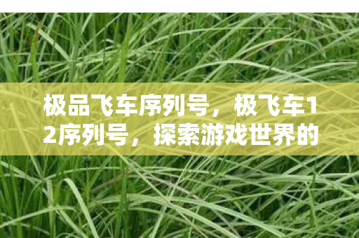 极品飞车序列号，极飞车12序列号，探索游戏世界的钥匙