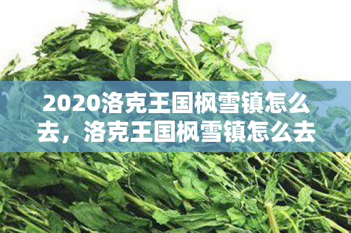 2020洛克王国枫雪镇怎么去，洛克王国枫雪镇怎么去