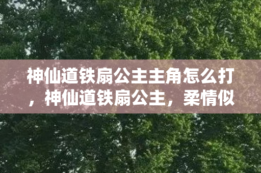 神仙道铁扇公主主角怎么打，神仙道铁扇公主，柔情似水，智勇双全的女中豪杰