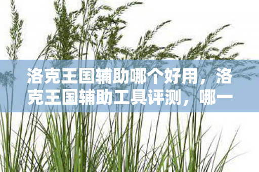 洛克王国辅助哪个好用，洛克王国辅助工具评测，哪一款是最佳选择？