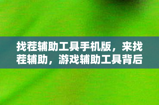 找茬辅助工具手机版，来找茬辅助，游戏辅助工具背后的双刃剑