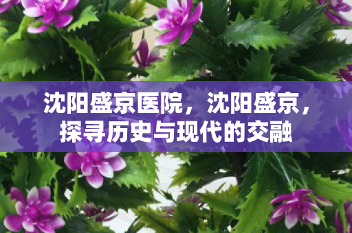 沈阳盛京医院，沈阳盛京，探寻历史与现代的交融