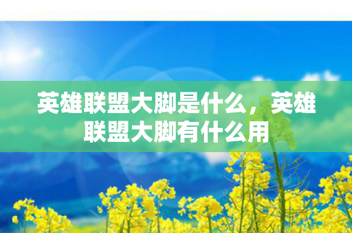 英雄联盟大脚是什么，英雄联盟大脚有什么用