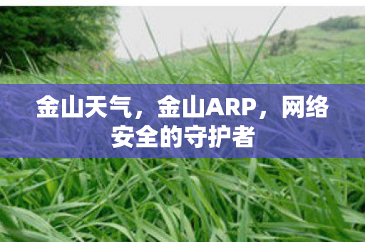 金山天气，金山ARP，网络安全的守护者