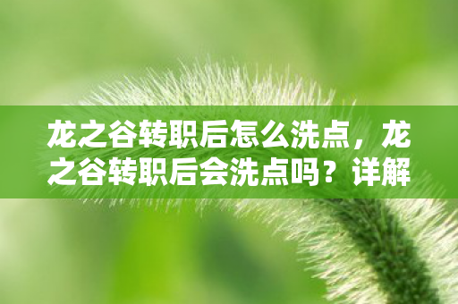 龙之谷转职后怎么洗点，龙之谷转职后会洗点吗？详解游戏角色转职机制