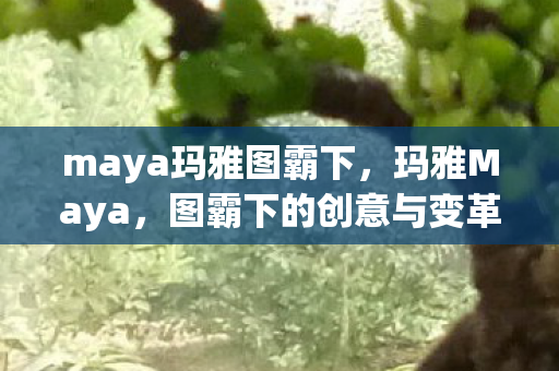 maya玛雅图霸下，玛雅Maya，图霸下的创意与变革