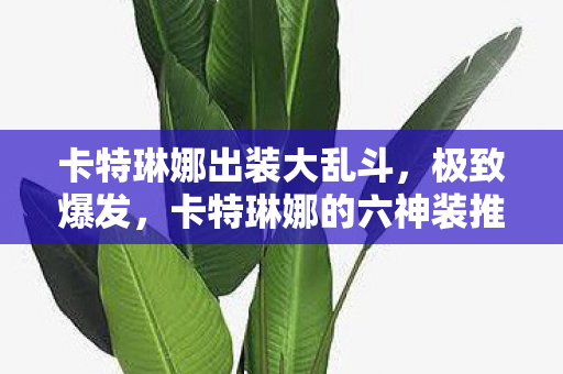 卡特琳娜出装大乱斗，极致爆发，卡特琳娜的六神装推荐