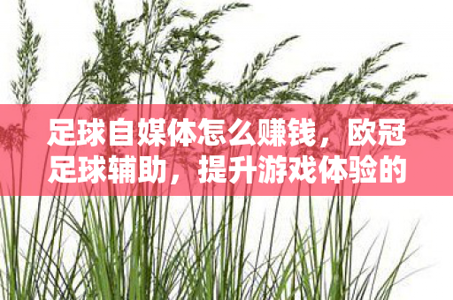 足球自媒体怎么赚钱，欧冠足球辅助，提升游戏体验的合法工具