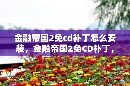 金融帝国2免cd补丁怎么安装，金融帝国2免CD补丁，打造便捷游戏体验
