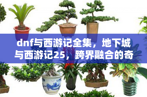 dnf与西游记全集，地下城与西游记25，跨界融合的奇幻冒险