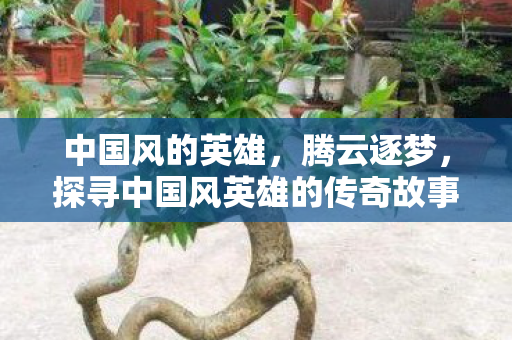 中国风的英雄，腾云逐梦，探寻中国风英雄的传奇故事