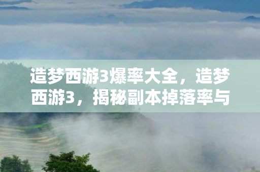 造梦西游3爆率大全，造梦西游3，揭秘副本掉落率与提升攻略