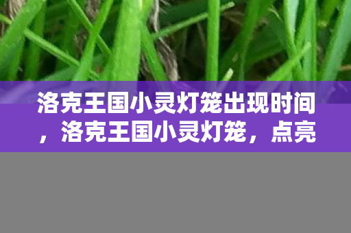 洛克王国小灵灯笼出现时间，洛克王国小灵灯笼，点亮王国之光