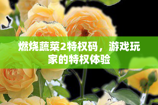 燃烧蔬菜2特权码，游戏玩家的特权体验