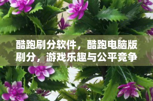酷跑刷分软件，酷跑电脑版刷分，游戏乐趣与公平竞争之间的微妙平衡