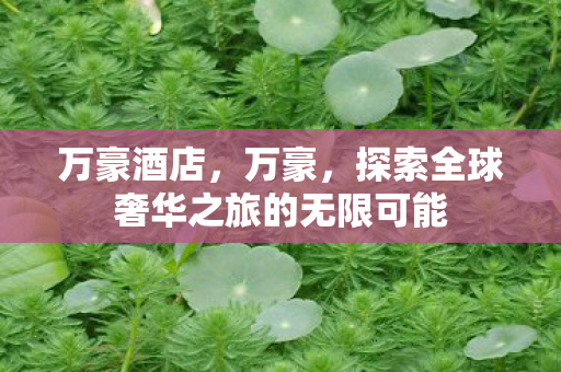 万豪酒店，万豪，探索全球奢华之旅的无限可能