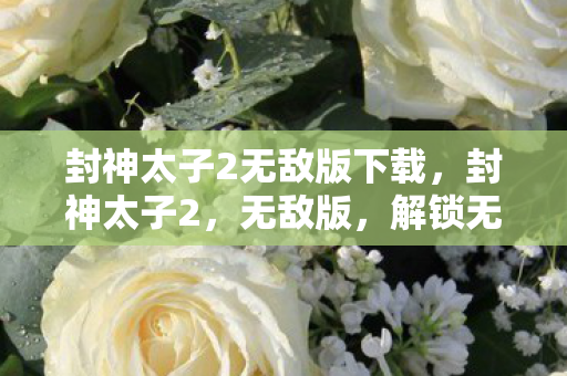 封神太子2无敌版下载，封神太子2，无敌版，解锁无限可能