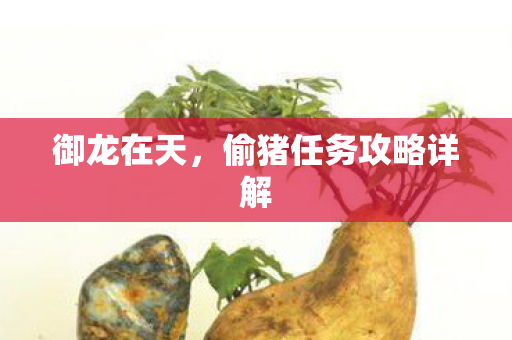 御龙在天，偷猪任务攻略详解