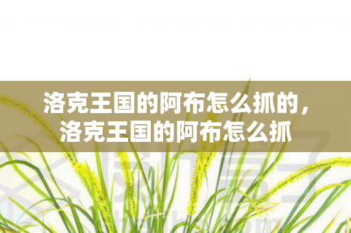洛克王国的阿布怎么抓的，洛克王国的阿布怎么抓