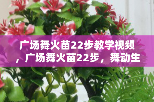 广场舞火苗22步教学视频，广场舞火苗22步，舞动生活的艺术