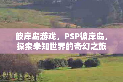 彼岸岛游戏，PSP彼岸岛，探索未知世界的奇幻之旅