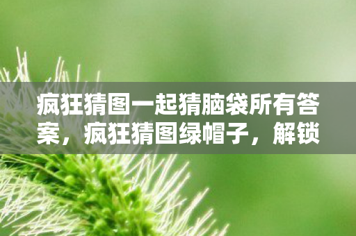 疯狂猜图一起猜脑袋所有答案，疯狂猜图绿帽子，解锁趣味与智慧的双重挑战