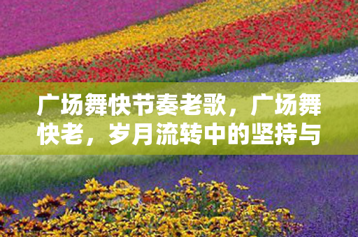 广场舞快节奏老歌，广场舞快老，岁月流转中的坚持与传承