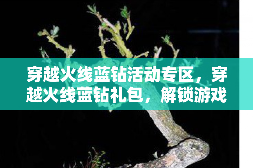 穿越火线蓝钻活动专区，穿越火线蓝钻礼包，解锁游戏新体验，助力玩家称霸战场