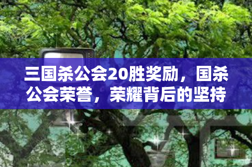 三国杀公会20胜奖励，国杀公会荣誉，荣耀背后的坚持与努力