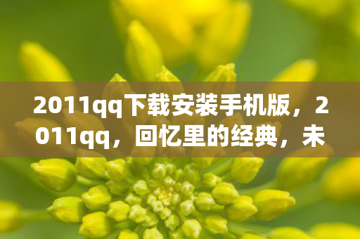 2011qq下载安装手机版，2011qq，回忆里的经典，未曾远去的青春
