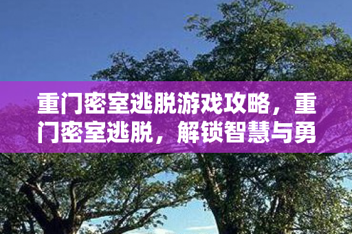 重门密室逃脱游戏攻略，重门密室逃脱，解锁智慧与勇气的挑战
