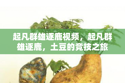 起凡群雄逐鹿视频，起凡群雄逐鹿，土豆的竞技之旅