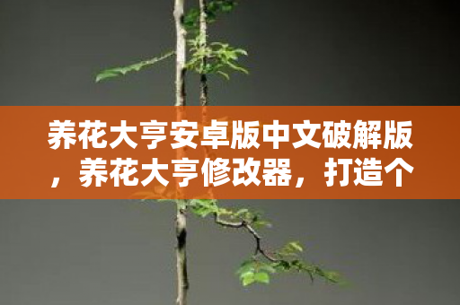 养花大亨安卓版中文破解版，养花大亨修改器，打造个性化花园的神奇工具
