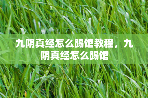 九阴真经怎么踢馆教程，九阴真经怎么踢馆