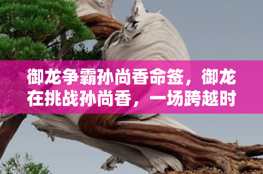 御龙争霸孙尚香命签，御龙在挑战孙尚香，一场跨越时空的巾帼对决