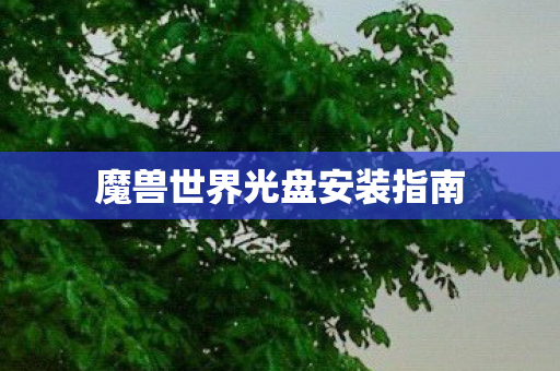 魔兽世界光盘安装指南