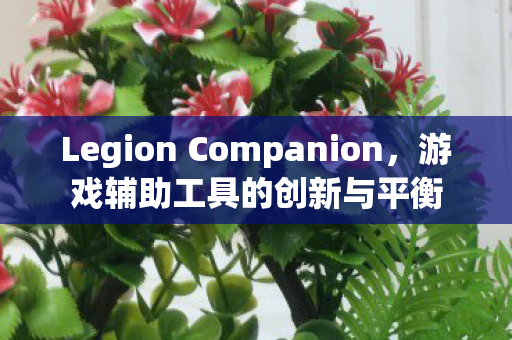Legion Companion，游戏辅助工具的创新与平衡