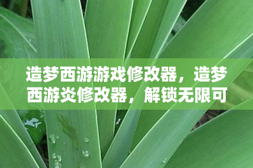 造梦西游游戏修改器，造梦西游炎修改器，解锁无限可能的冒险之旅
