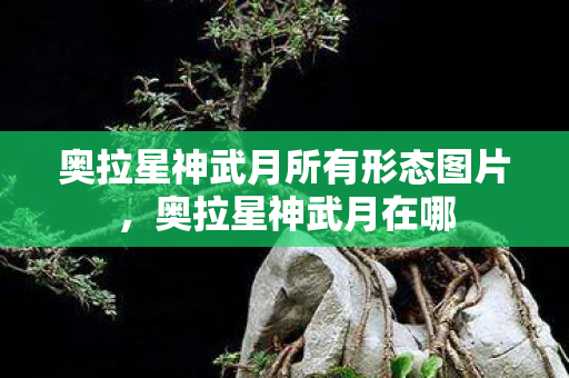 奥拉星神武月所有形态图片，奥拉星神武月在哪