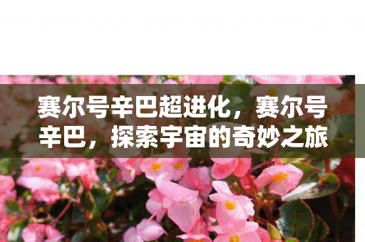 赛尔号辛巴超进化，赛尔号辛巴，探索宇宙的奇妙之旅